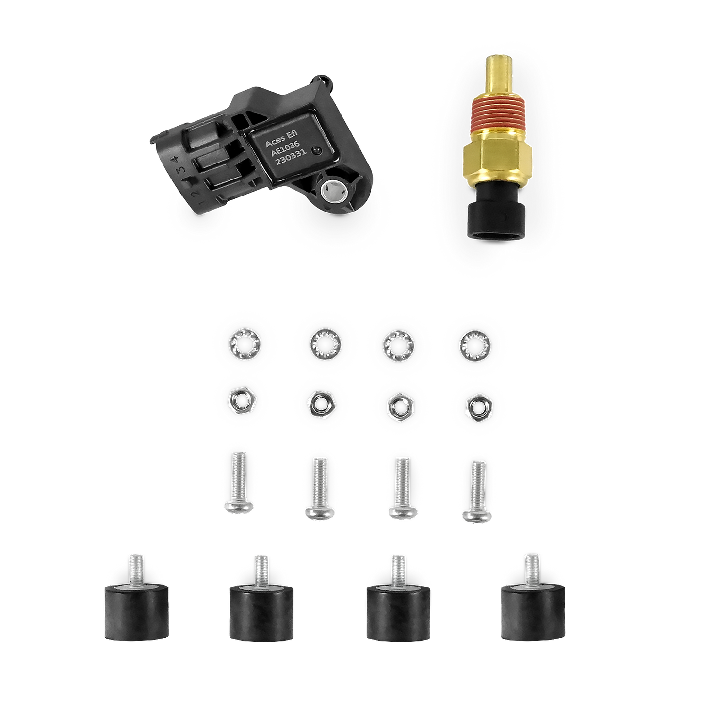 Full House Pro 8 Channel EFI/CDI Port Injection System